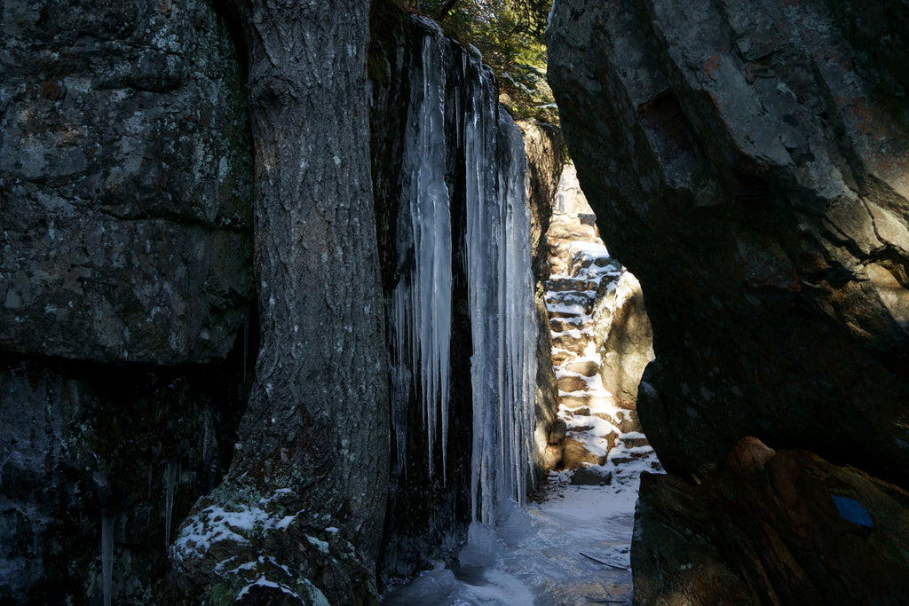 Gorham Mountain Acadia National Park