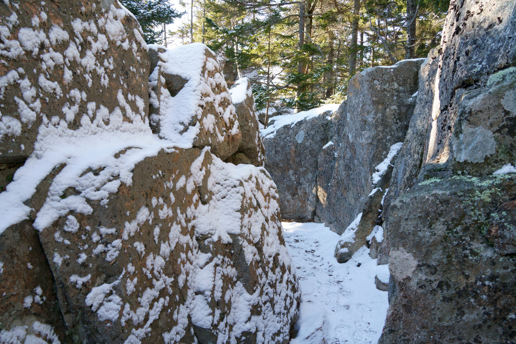 Gorham Mountain Acadia National Park