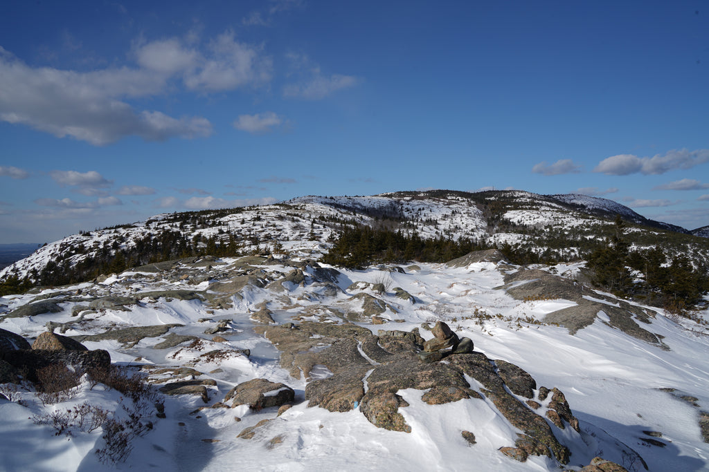 Cadillac Mountain South Ridge Trail