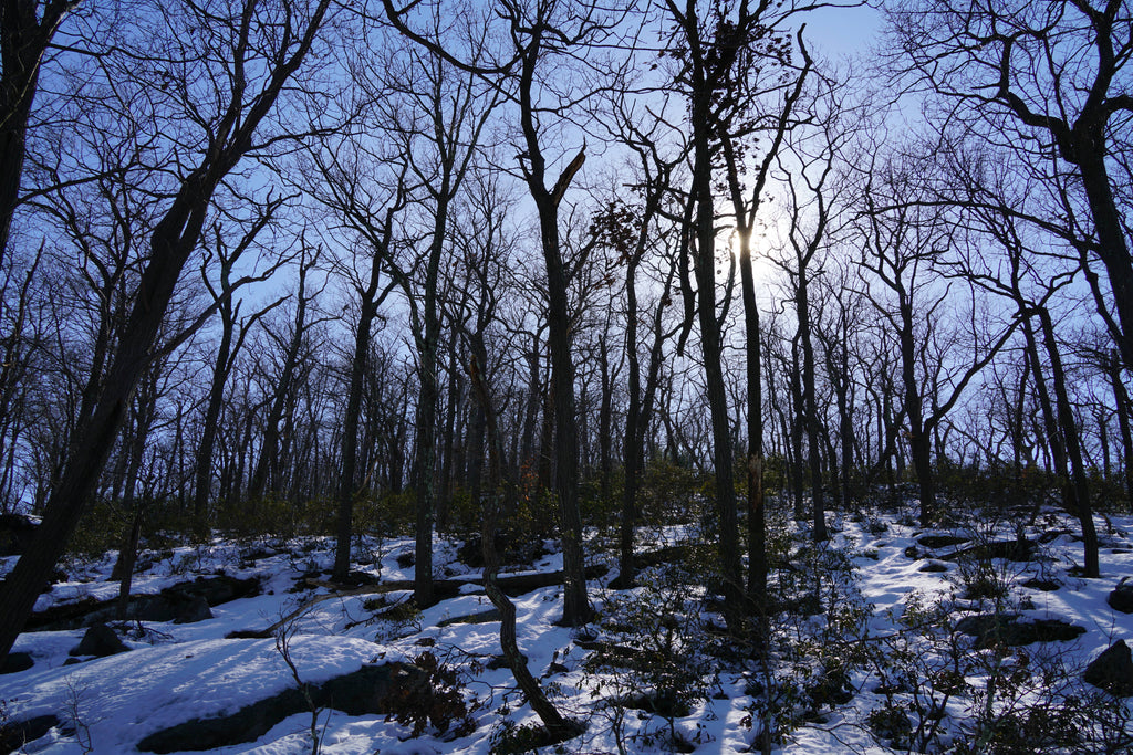 Bear Mountain Hiking Guide