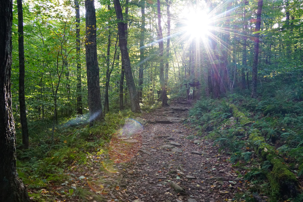 Giant Ledge and Panther Mountain Trail