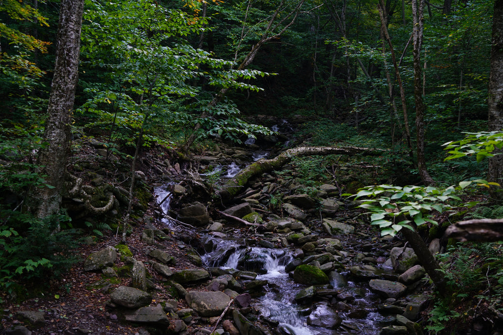 Giant Ledge and Panther Mountain Trail