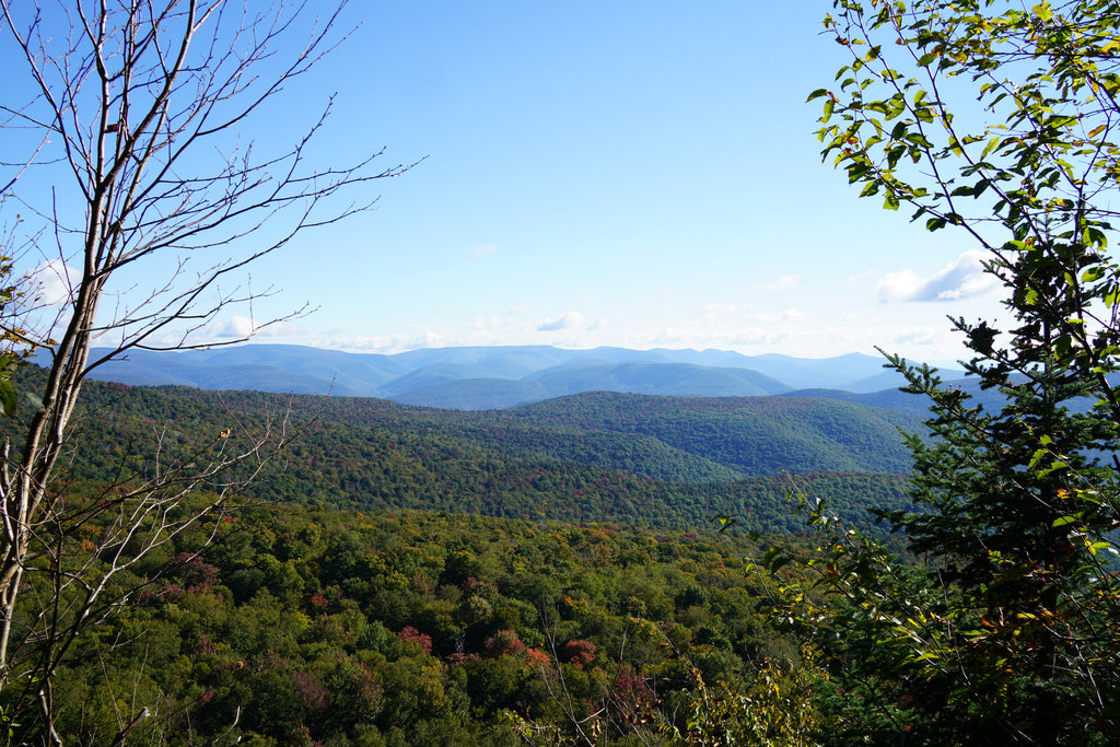 Giant Ledge and Panther Mountain Trail