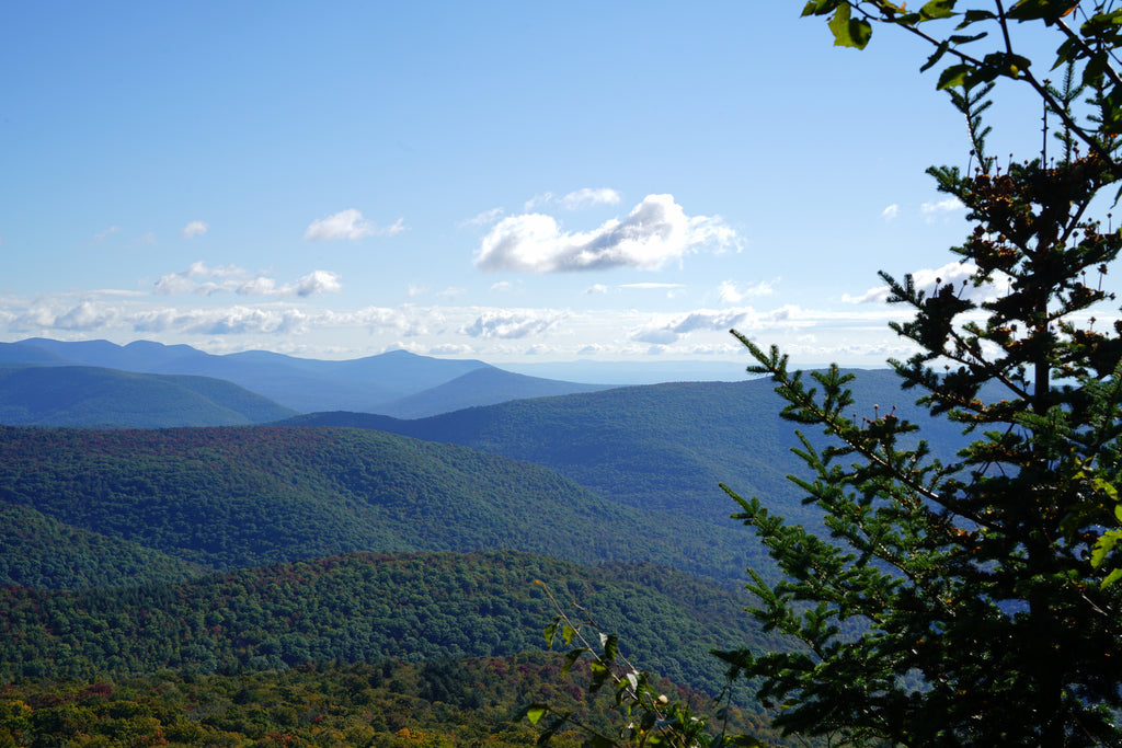 Giant Ledge and Panther Mountain Trail