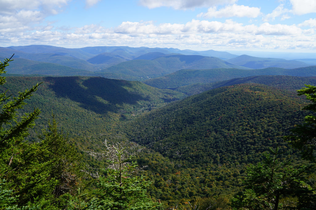 Giant Slide and Panther Mountain Trail