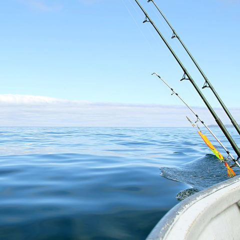 How Saltwater Rods Differ From Freshwater Poles