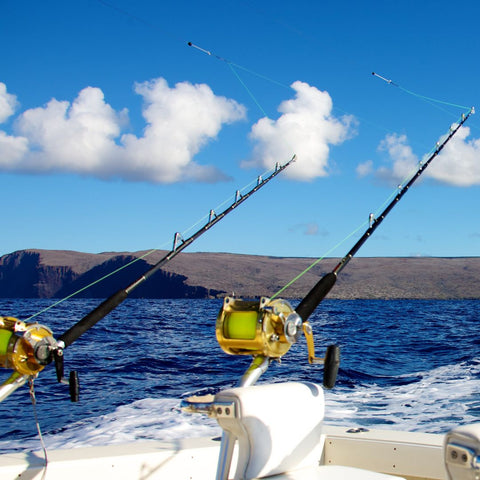 two large deep sea fishing rods set up on the back of a boat