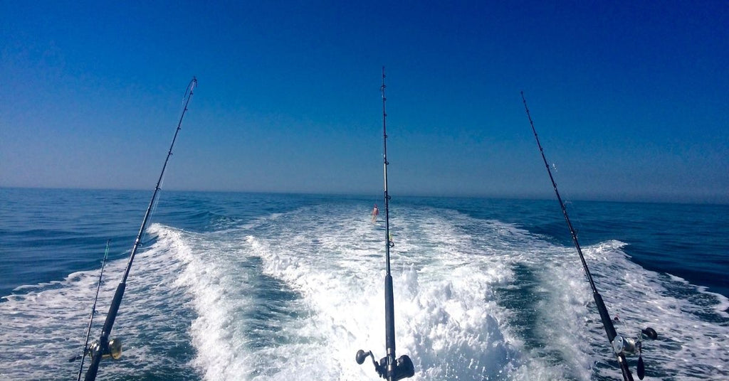 fishing rods in the water off the back of a boat