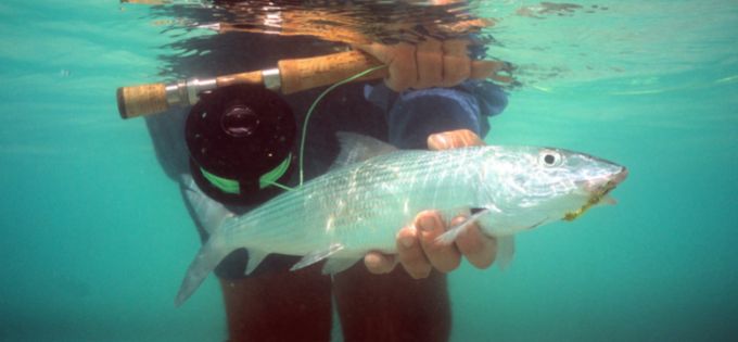 Underwater photo of man holding bonefish and fishing rod