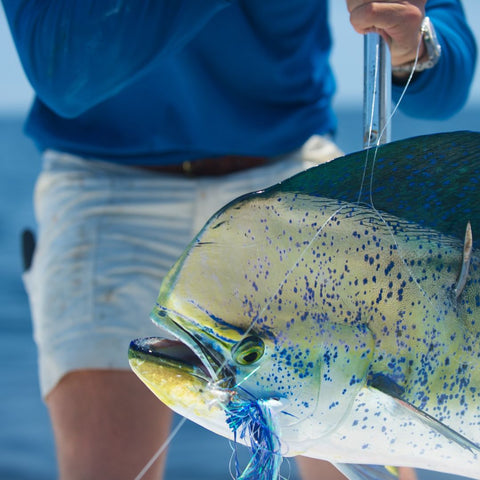 How Our Online Fishing Store Protects Your Deep Sea Fishing Rod Purchase