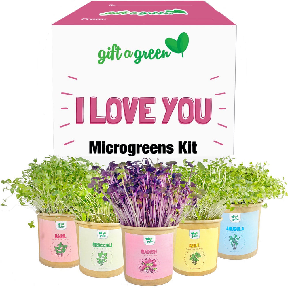 What are some good cases to buy to hold my precious seeds? : r/microgrowery