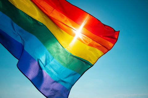 bandera del arco iris lgbt