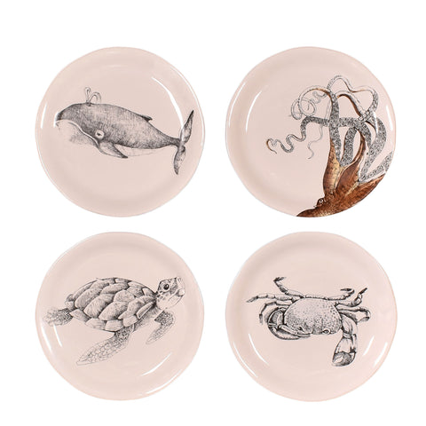 Sea Animals 8-inch Ceramic Salad Plates, Set of 4 Styles – The ...