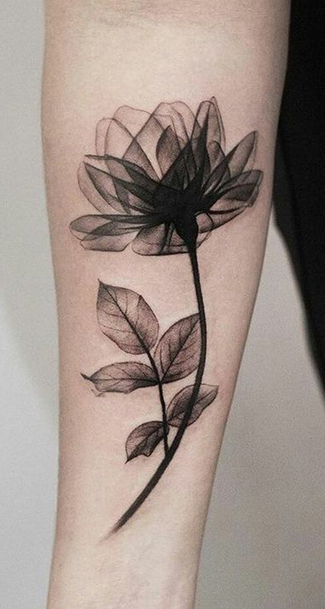 Beautiful Black Magnolia Arm Tattoo Ideas for Women - Watercolor Delicate Forearm Tat - www.MyBodiArt.com #tattoos