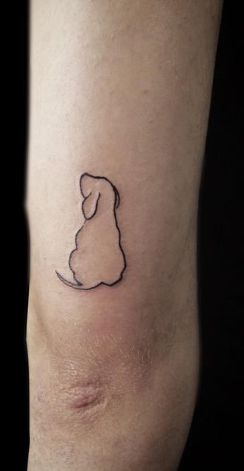 Small Dog Outline Minimalist Elbow Tattoo Ideas for Women -  Pequeño perro contorno mínimo codo tatuaje Ideas para mujeres - www.MyBodiArt.com