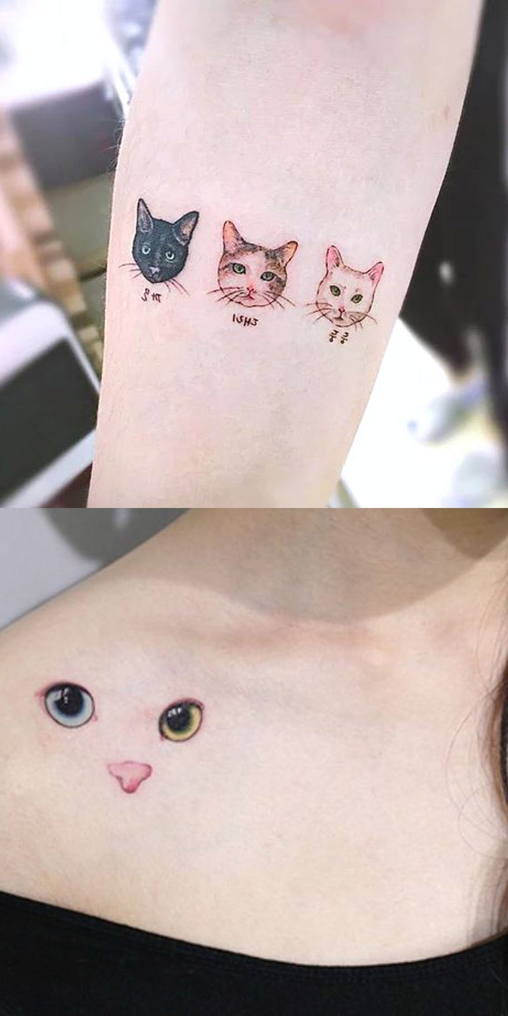 Cool Unique Cat Forearm Tattoo Ideas for Women - Kitty Portrait Face Shoulder Tat -  Ideas de tatuaje de gato para mujeres - www.MyBodiArt.com