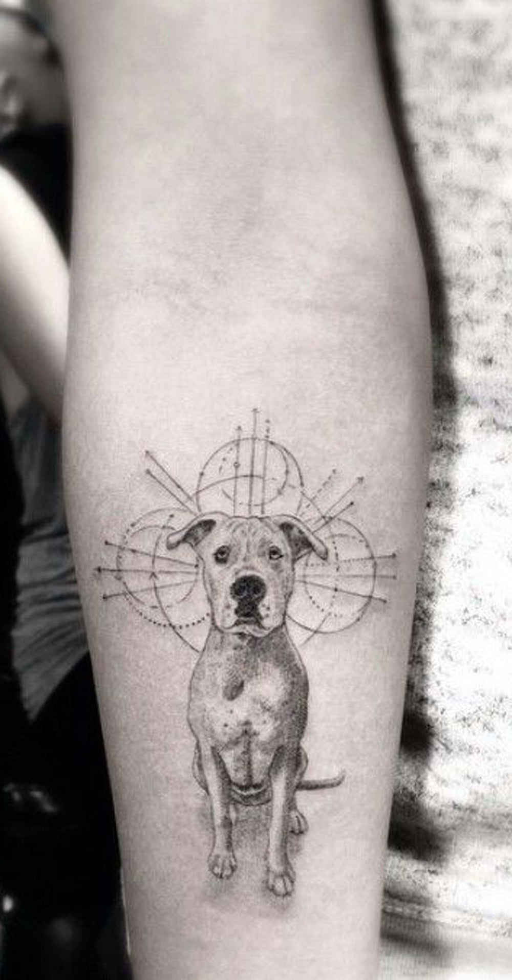 Minimalink  Art Work from our lovely resident artist susboomtattoo  Geometric  Dog Tattoo  Thank you Artur for coming from Aveiro to tattoo with me your  lovely dog Piruças is such