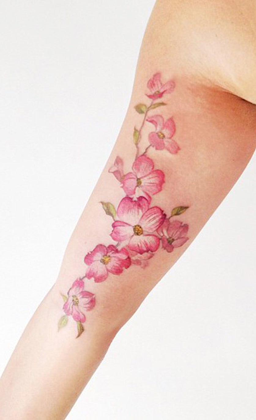 Watercolor Colorful Forearm Pink Delicate Pink Cherry Blossom Tattoo Ideas for Women - colorful cherry blossom forearm tattoo ideas Edit  colorful cherry blossom forearm tattoo ideas  ideas coloridas del tatuaje del antebrazo de la flor de cerezo - www.MyBodiArt.com