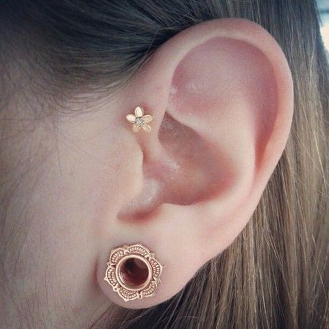 Golden Forward Helix Ear Piercing Jewelry & Brass Ear Plug Gauge at MyBodiArt