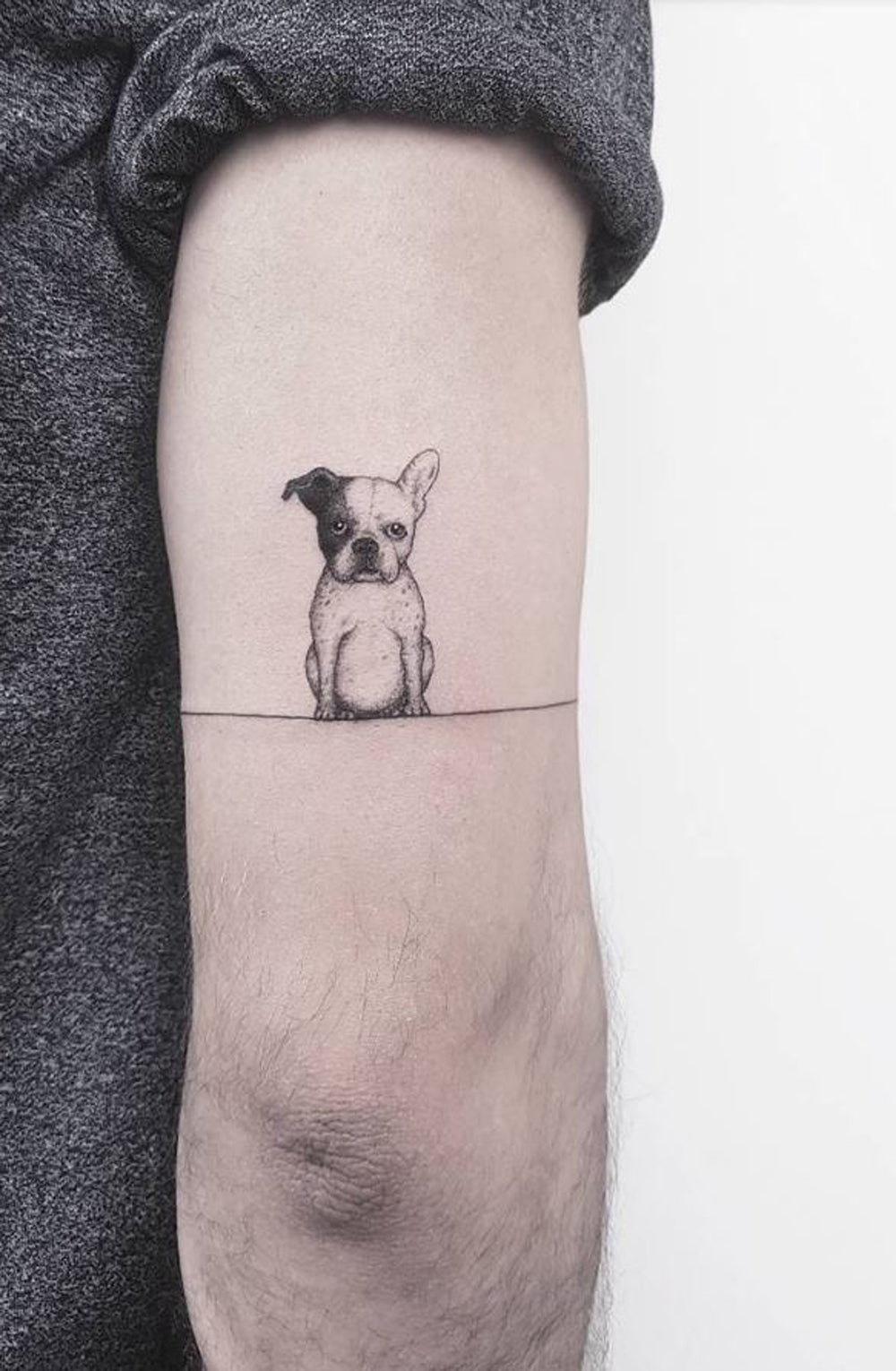 Cute Small Bull Dog Back of Elbow Tattoo Ideas 