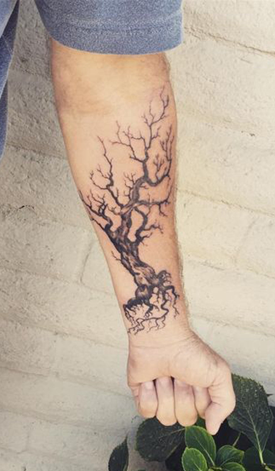 Mens Tattoo Ideas Dead Oak Tree Forearm at MyBodiArt.com