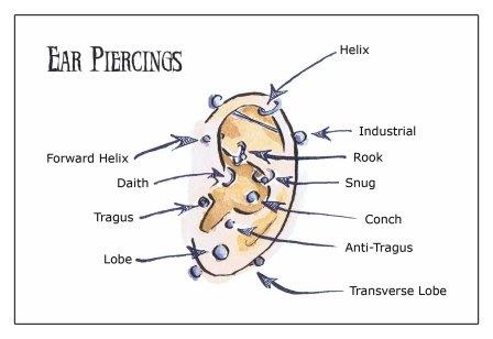 Types of Ear Piercing, Ear Piercing Types