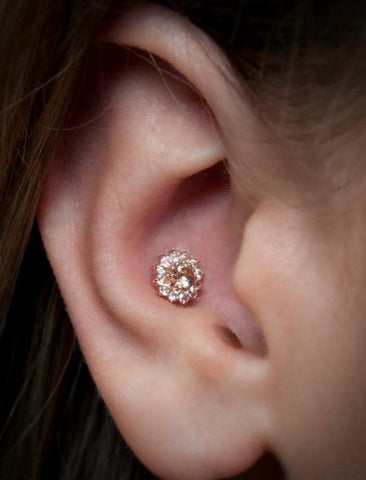 Conch Piercing Jewelry at MyBodiArt