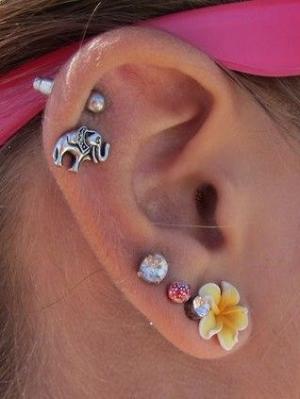 Multiple Ear Piercing Pinterest at MyBodiArt
