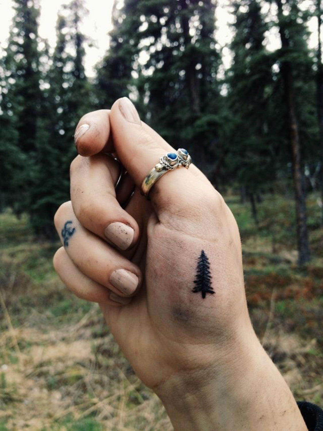 Hand Tattoos Ideas for Women - Pine Evergreen Tree Tats - MyBodiArt.com
