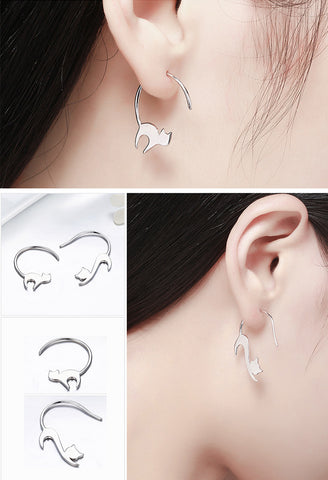 Cat Nibbles Ear Cat Nibbles Ear