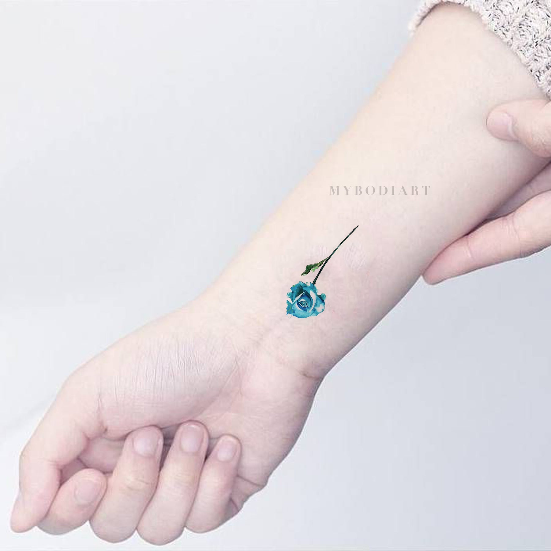 Girl Shows Her Hand With Temporary Shiny Tattoos In Form Of Blue Dolphin  And Red Small Lizards Stock Photo  Download Image Now  iStock
