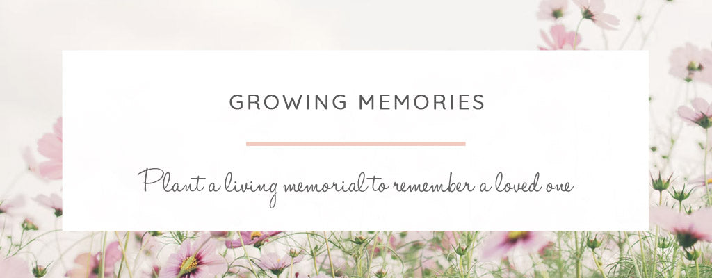 Plant a living memorial