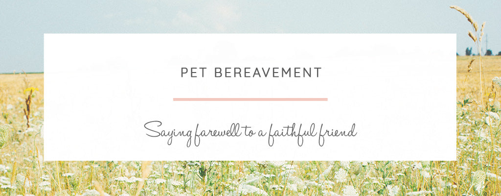 Pet Loss Bereavement