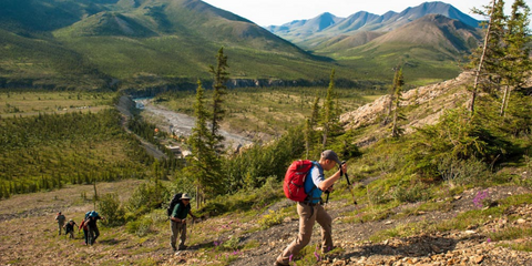 Ivvavik National Park, Yukon