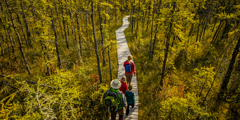 Prince Albert National Park, Saskatchewan