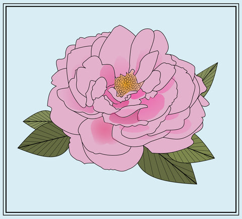 An illustration of a pink damask rose