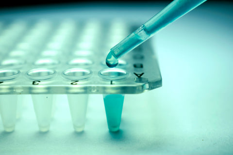 A closeup of an eye dropper dropping clear liquid into a tray with tiny reservoirs as part of stem cell research. Photo credit: CI Photos