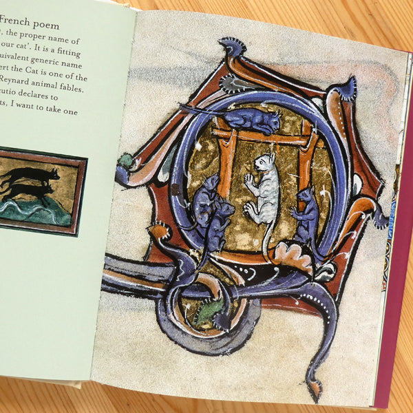 cats as scribes in medieval manuscripts