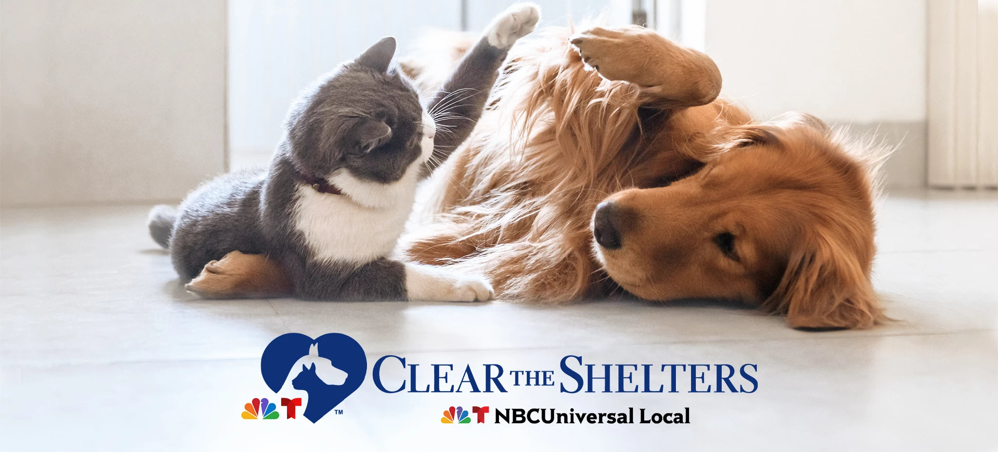 Clear The Shelters  The Animal Rescue Site