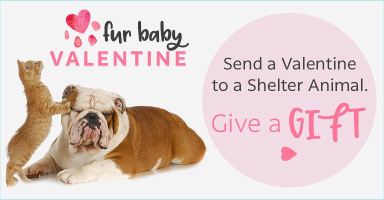 Send a Valentine to a Shelter Animal | Choose Your Gift!