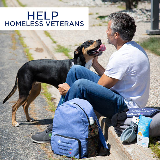 Help Homeless Veterans