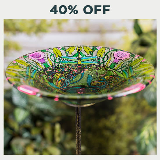 Secret Garden Bird Bath - 40% OFF