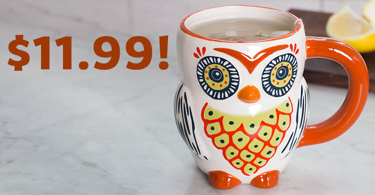 Cup of Wisdom Owl Mug | $11.99