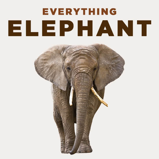 Everything Elephant