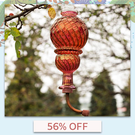 Double Ball Swirl Humming Bird Feeder - 56% OFF