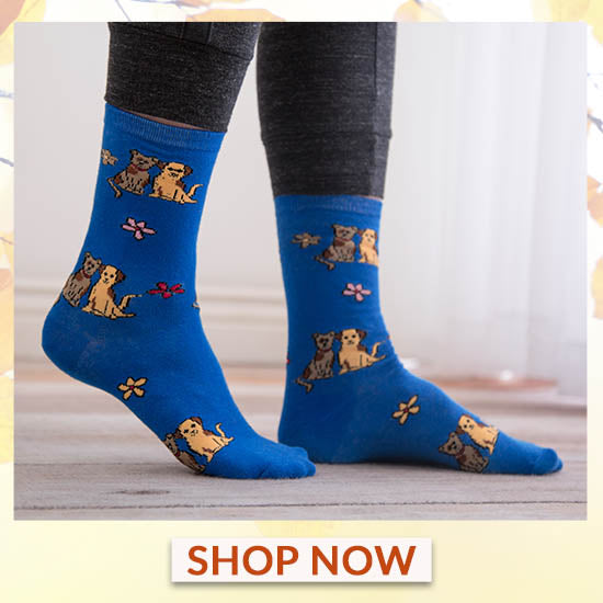 Best of Friends Socks - Set of 3 - Shop Now