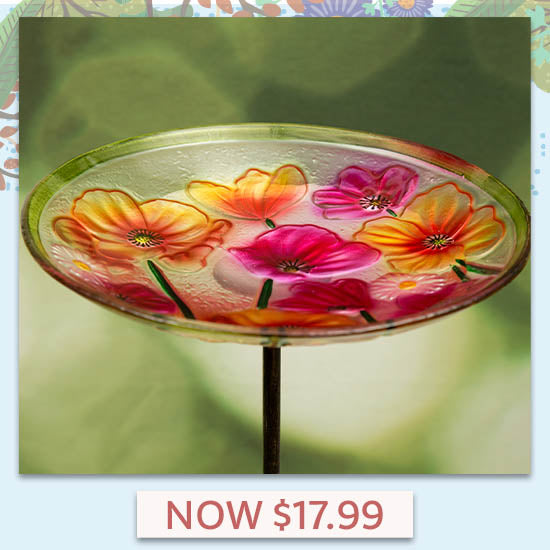 Summer Floral Glass Bird Bath - Now $17.99