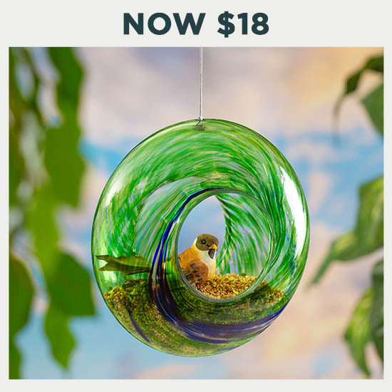 Ocean Swirl Glass Bird Feeder - $18