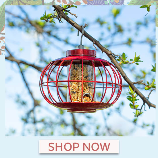 Secure Sphere Bird Feeder