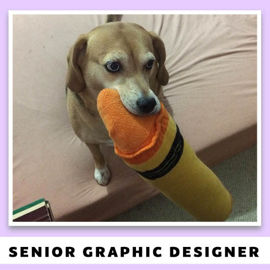 Senior Graphic Designer